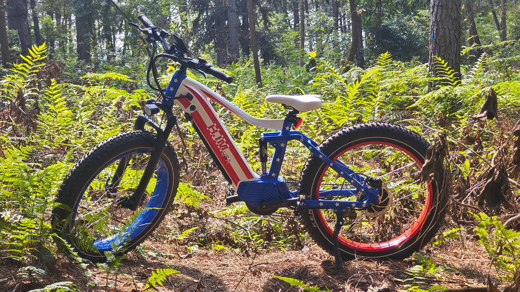 Unleash Your Adventurous Spirit: Exploring Nature with Electric Mountain Bikes