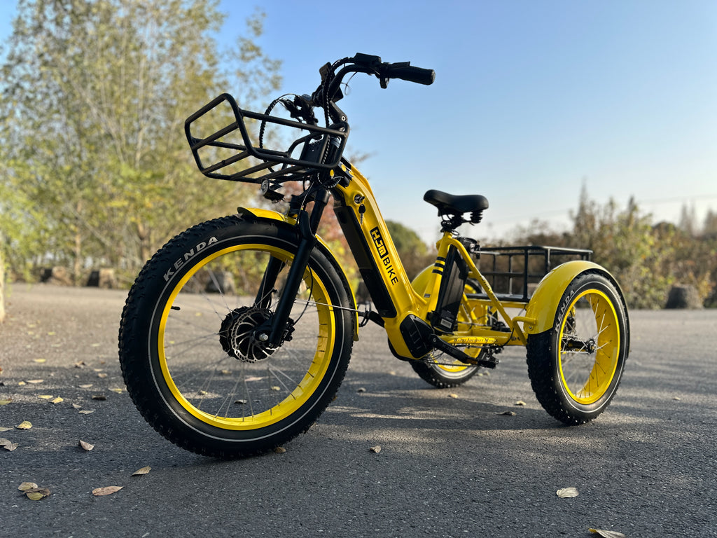 Best E-Bikes for Heavier Riders in 2024: HJMbike TriHauler and TriHauler Pro