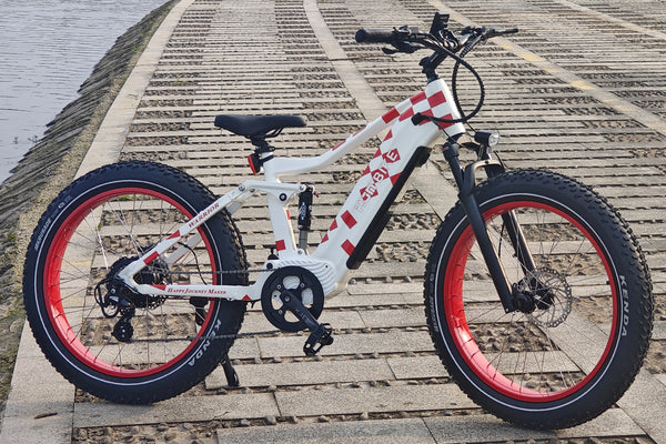 Warrior Full Suspension All Terrain eBike