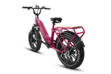 Breeze 20 inch Fat Tire Cargo Ebike(Fully Assembled)