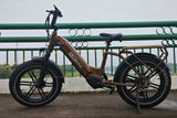 Breeze 20 inch Fat Tire Cargo Ebike(Fully Assembled)