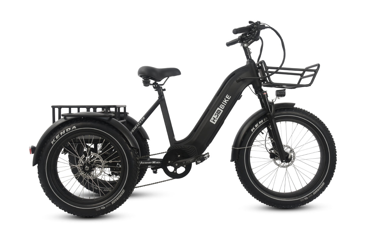 TriHauler Terra Dual Drive Heavy Duty Fat Tire Utility Electric Trike components