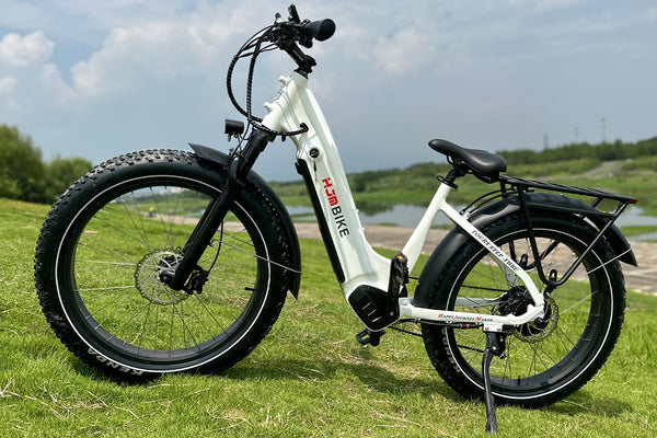 Toury Fat Tire Utility eBike