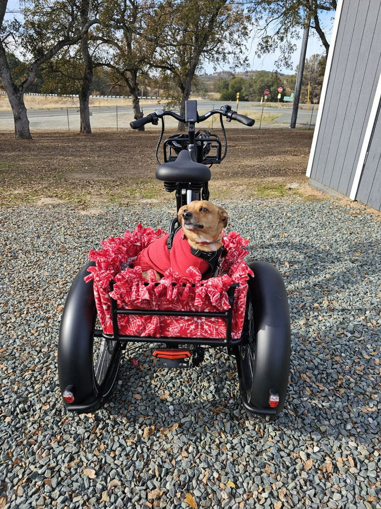 What can a heavy-duty cargo electric trike carry?