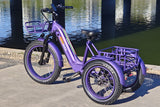 TriHauler Pro Cargo 1000W Rear-Drive Fat Tire Etrike (Fully Assembled)