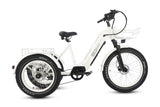 TriHauler Pro Cargo 1000W Rear-Drive Fat Tire Etrike (Fully Assembled)