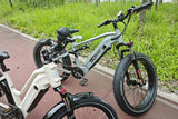 Apex Full Suspension Fat Tire Ebike 1000W