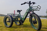 HJMbike TriHauler Cargo Fat Tire Etrike (Fully Assembled) green