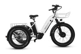 TriHauler Cargo Fat Tire Etrike (Fully Assembled)