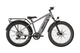 Joyrider High-Step Fat Tire Ebike