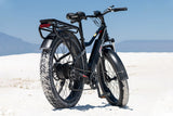 Classic Toury Fat Tire Ebike