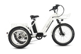 TriHauler Pro Cargo 1000W Rear-Drive Fat Tire Etrike (Fully Assembled)