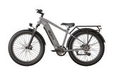 Joyrider High-Step Fat Tire Ebike