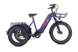 TriHauler Pro Cargo 1000W Rear-Drive Fat Tire Etrike (Fully Assembled)