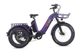 TriHauler Pro Cargo 1000W Rear-Drive Fat Tire Etrike (Fully Assembled)