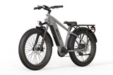 Joyrider High-Step Fat Tire Ebike