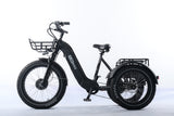 TriHauler Terra Dual Drive Heavy Duty Fat Tire Utility Electric Trike