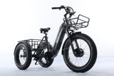 TriHauler Terra Dual Drive Heavy Duty Fat Tire Utility Electric Trike