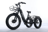 TriHauler Terra Dual Drive Heavy Duty Fat Tire Utility Electric Trike