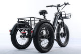 TriHauler Terra Dual Drive Heavy Duty Fat Tire Utility Electric Trike