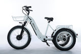 TriHauler Terra Dual Drive Heavy Duty Fat Tire Utility Electric Trike