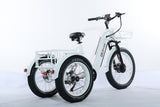 TriHauler Terra Dual Drive Heavy Duty Fat Tire Utility Electric Trike
