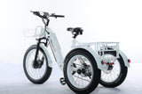 TriHauler Terra Dual Drive Heavy Duty Fat Tire Utility Electric Trike