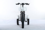 TriHauler Terra Dual Drive Heavy Duty Fat Tire Utility Electric Trike