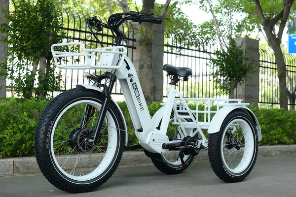 TriHauler Terra Dual Drive Heavy Duty Fat Tire Utility Electric Trike