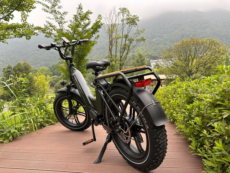 Can a cargo electric bicycle carry daily essentials?