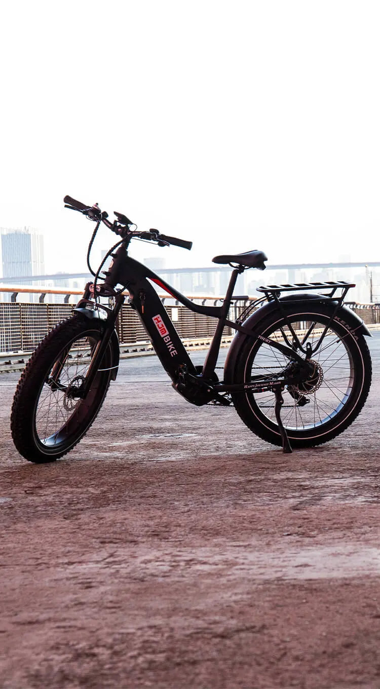 Can this utility ebike carry daily essentials?