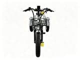 TriHauler Heavy Duty Fat Tire Utility eTrike