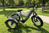 TriHauler Heavy Duty Fat Tire Utility eTrike